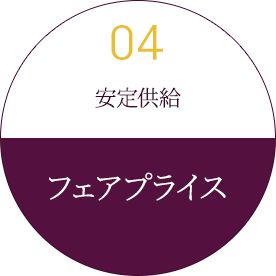 アマゾンポルパスアサイーの特徴